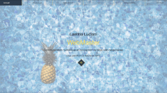 Portfolio de Laetitia Luciani