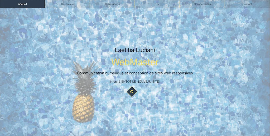 Portfolio de Laetitia Luciani
