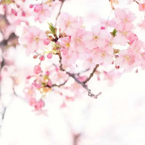 Site Wordpress Reiki Provence par Uluweb