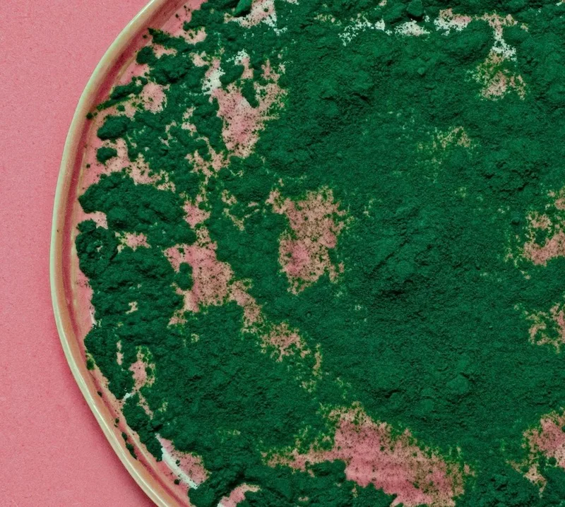 MAISON DE LA SPIRULINE // E-boutique de Spiruline - 2021 par Uluweb création de site web Tarn Hérault