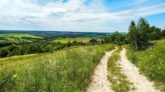 Route de campagne, création du site Psyconnect