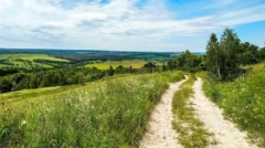 Route de campagne, création du site Psyconnect