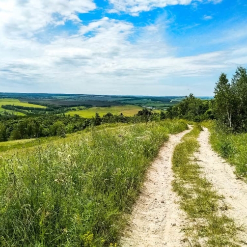 Route de campagne, création du site Psyconnect