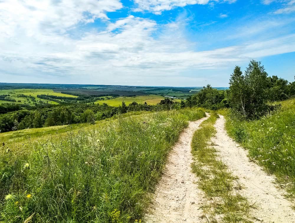 Route de campagne, création du site Psyconnect